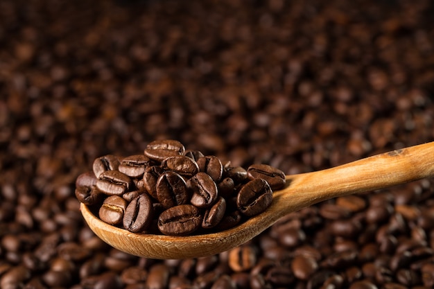 Roasted coffee beans in a wooden spoon