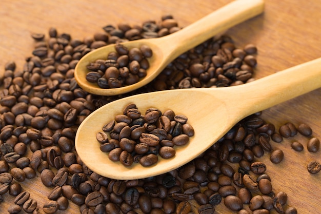 Roasted coffee beans