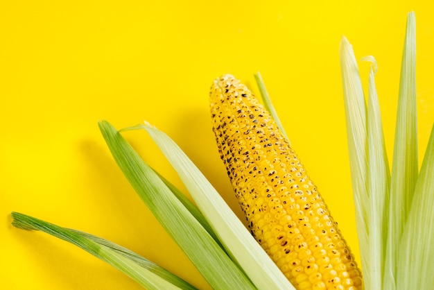 Roasted corn on a yellow background bright food