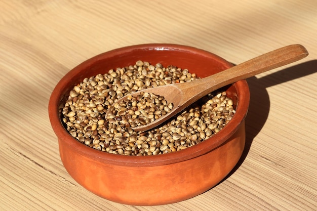 Roasted hemp seeds in the plate