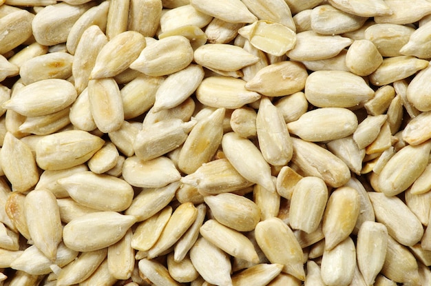 Roasted sunflower seeds close up