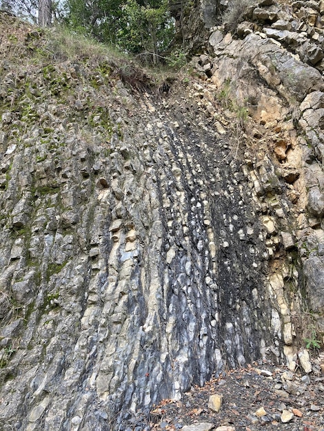 A rock face with a tree in the background