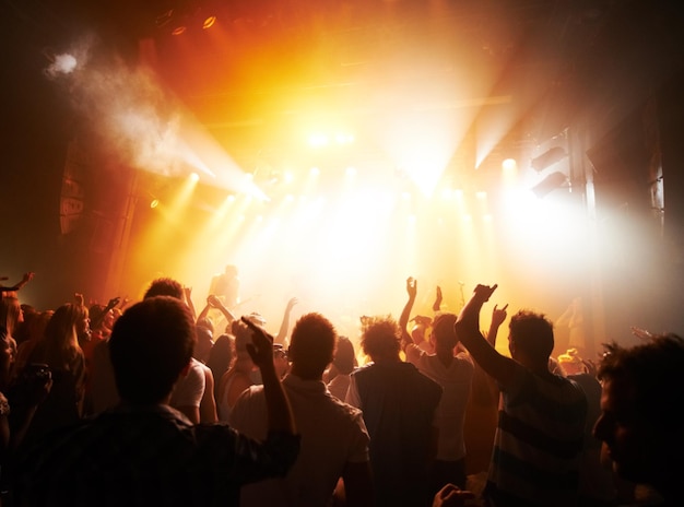 Rock fans unite. Rear view of a crowd cheering at a concert.