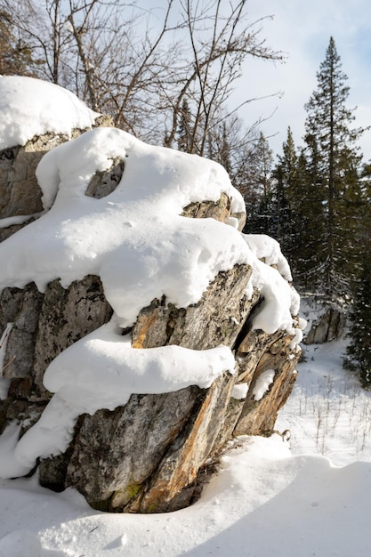 Rock formation in a spruce forest with snow in winter Beautiful multitiered small rock covered with snow in the forest