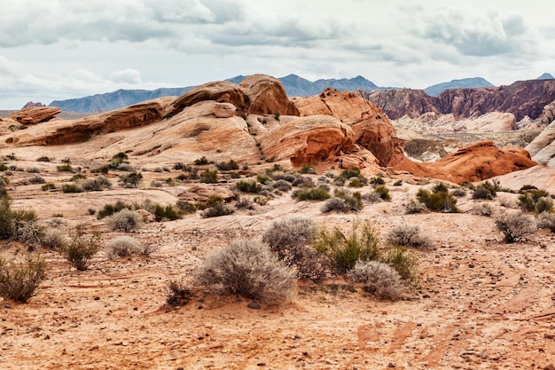 Photo rock formations in a desert