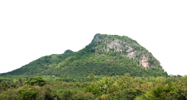 Rock mountain hill with green forest isolate on white background