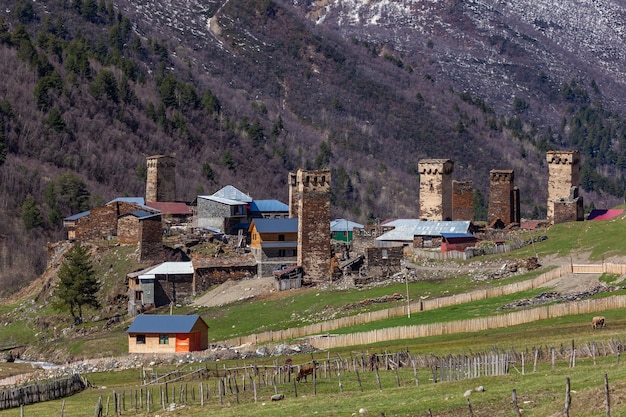 Rock towers and old houses in Ushguli, Georgia