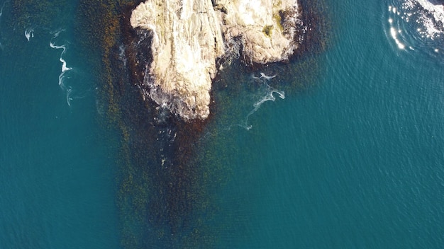 Photo a rock in the water with the sea in the background