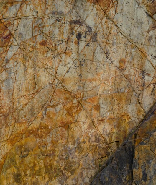 A rock with a brown and tan pattern that says'rock'on it