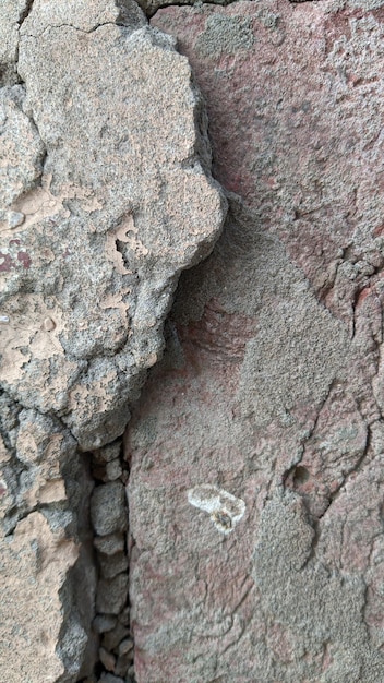 A rock with a fossil imprint on it