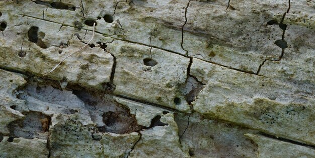 A rock with a hole in it