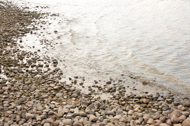 Rocks and algae on the shore of the Gulf of Finland on a cloudy day