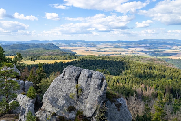 Rocks covered with trees landscape high in the mountains