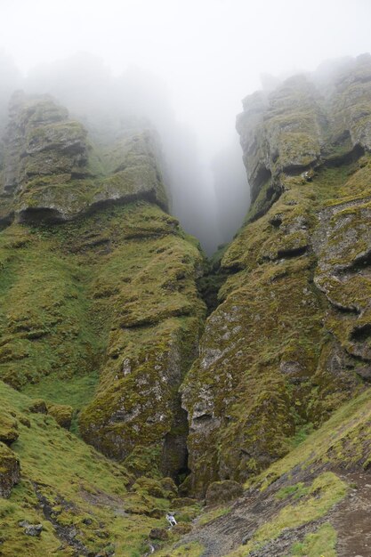 Rocks and fog at Raudfeldsgja Gorge on Snaefellsnes Peninsula in Iceland