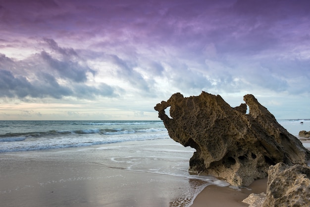 Rocks in La Barrosa beach in Cadiz