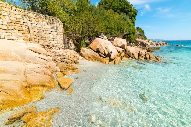 Rocks and plants in Capriccioli beach Sardinia