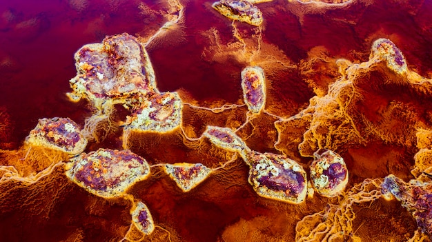 Rocks in red waters connected by yellow stromatolites