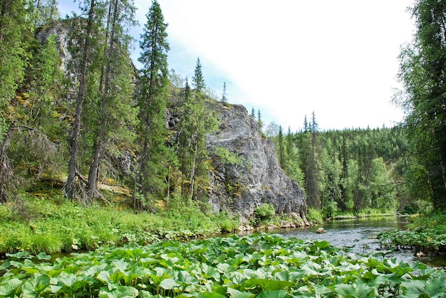 Rocks on the river Big Sarjuga