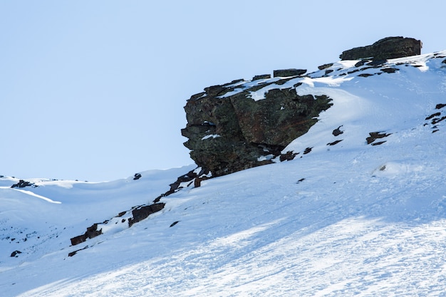 Rocks in the snow