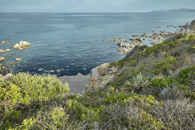 The rocks under the vegetation of southern Sardinia