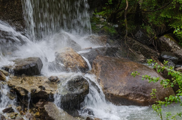 Rocks in wild brook