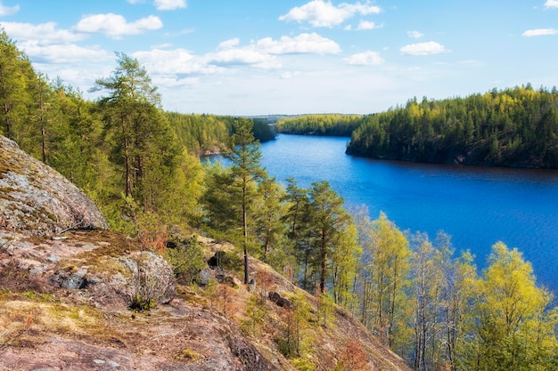 Rocks with a pine forest above the water of a lake or the Gulf of Finland Squirrel rocks on a clear sunny day