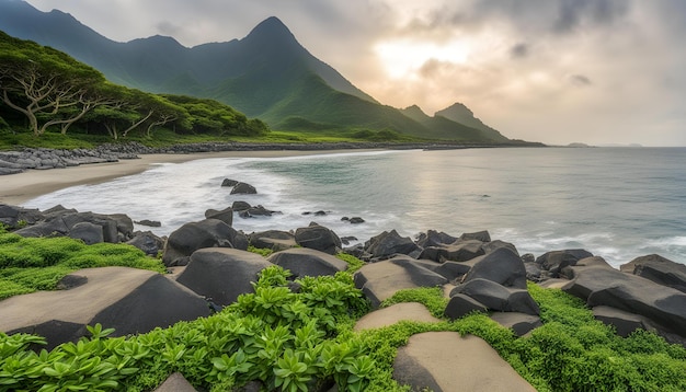 a rocky beach with a mountain in the background