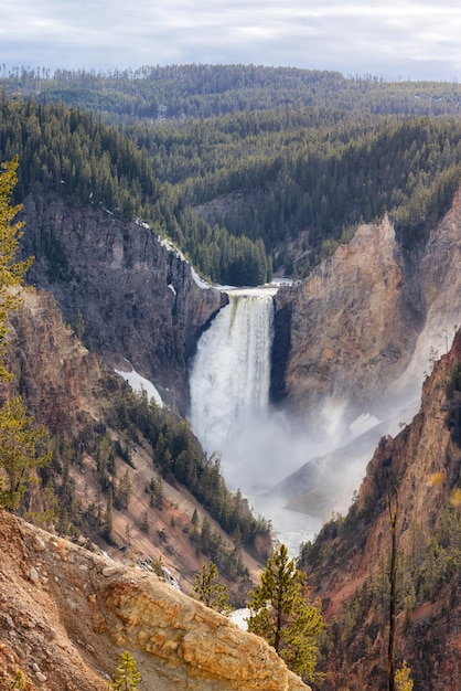 Rocky canyon and river in american landscape grand canyon of the yellowstone