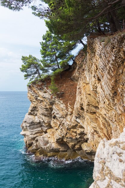 Rocky cliff of layered stone and pine over the turquoise sea