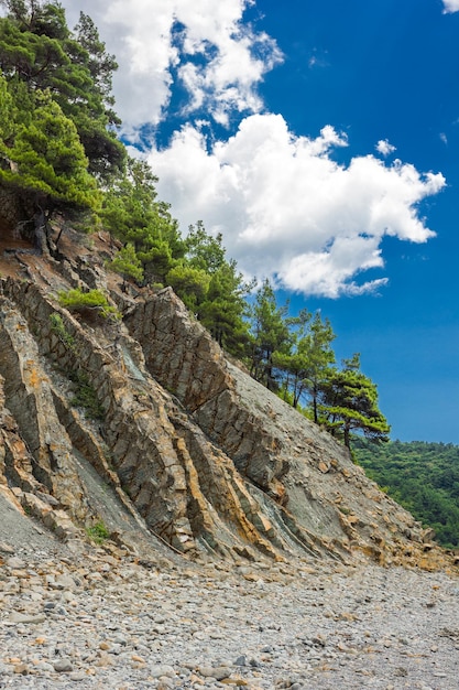 Rocky cliff with layered rock overgrown with coniferous trees