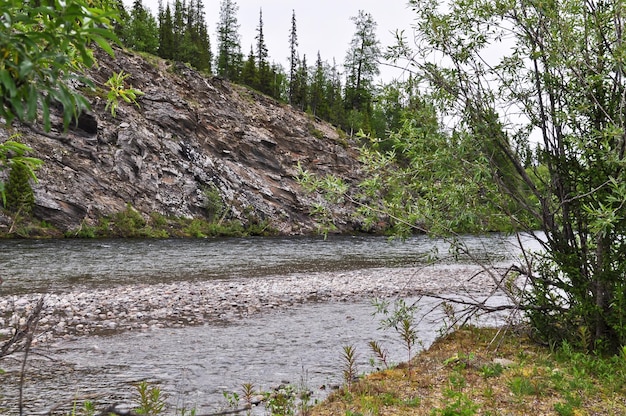 Rocky coast of mountain river