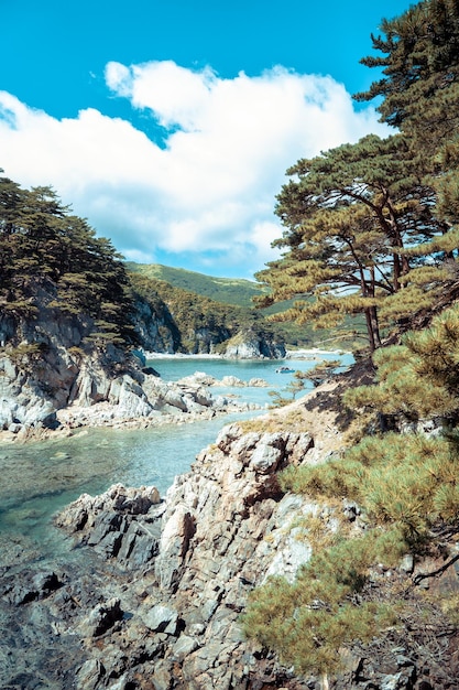 rocky island with pine trees