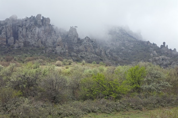 Rocky mountain (Demerdzhi Mount, Crimea, Ukraine)