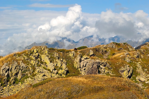 A rocky mountain landscape with an alpine meadow and grazing a lone horse between the stones