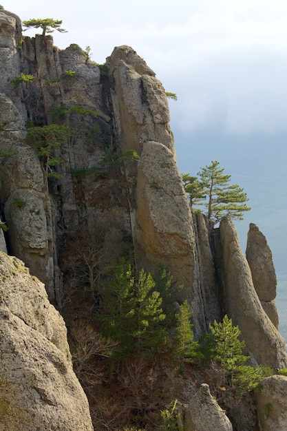 Rocky mountain view (Ghosts valley near Demerdzhi Mount, Crimea, Ukraine)