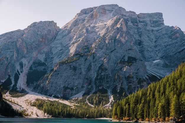 Rocky Mountains with green forests on Lago di Braies