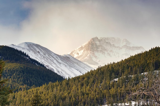 Rocky Mountains with sunlight shining in pine forest at countryside