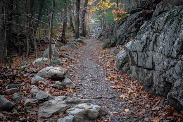 Photo rocky path with serene views