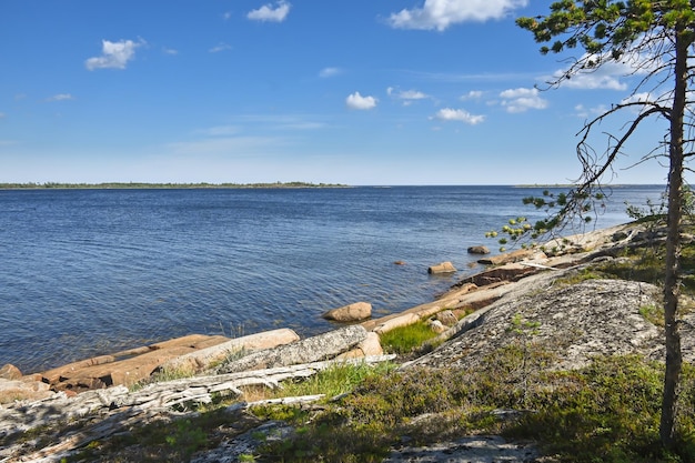 Rocky seashore