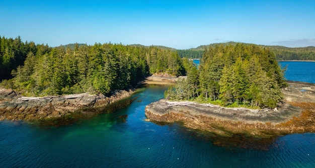 Rocky shore on pacific ocean west coast sunny day vancouver island bc canada