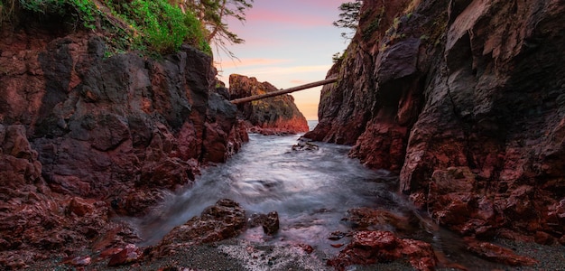 Rocky shore on pacific ocean west coast during sunny sunset vancouver island