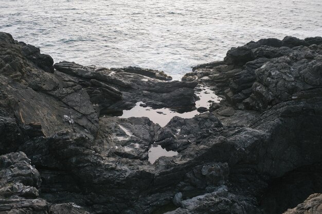 Photo rocky shore surrounded by the sea in the daylight