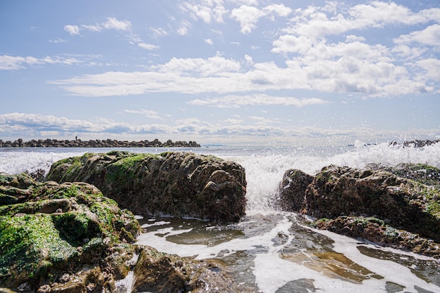 Rocky shore