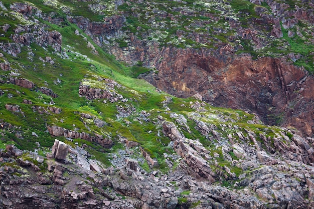 Rocky stone coast The Barents Sea, overgrown with moss and lichen