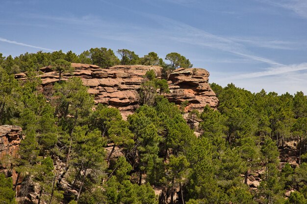 Rocky wall in a pine forest Pinares de Rodeno Spain