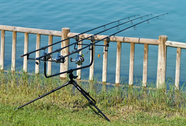 rod Fishing on the lake