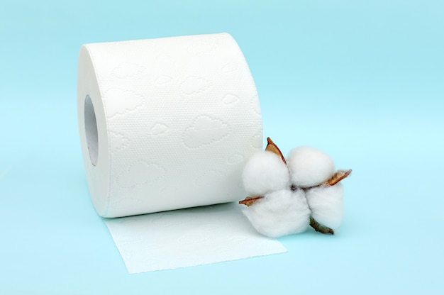 Roll of white toilet paper and cotton flower on blue background