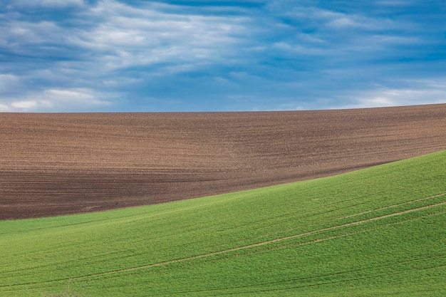 Rolling hills in early spring on a sunny day.