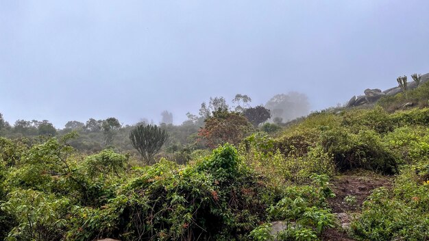 Rolling hills landscape misty cloudscape