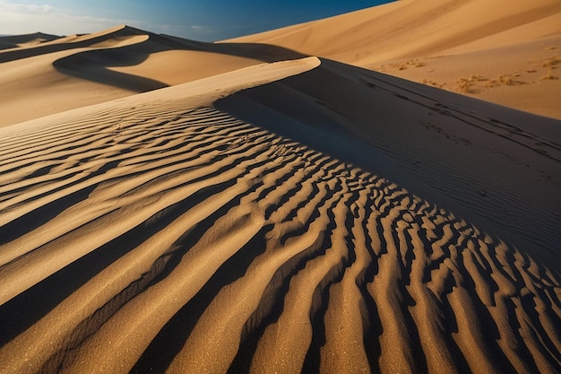 Rolling sand dunes with delicate ripples